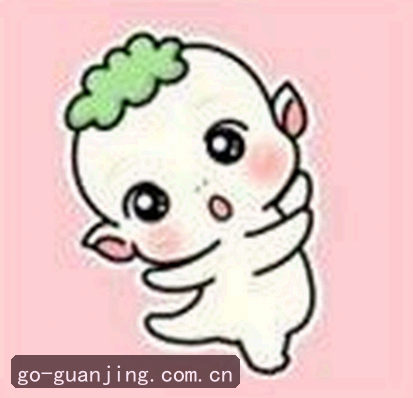 张磊
